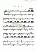 小白驢 鍵盤(pán)類(lèi) 鋼琴
